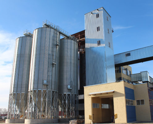 silosa-konicheskie-volnistye-3